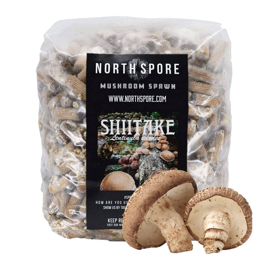 North Spore Organic Shiitake (500 ct) Mushroom Plugs for Logs | Premium Quality Mushroom Plug Spawn | Handmade in Maine, USA | Grow Gourmet