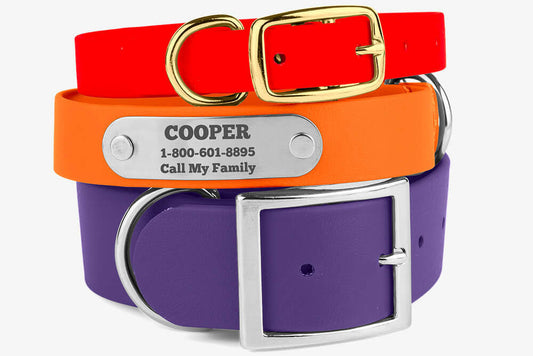 Waterproof Dog Collar