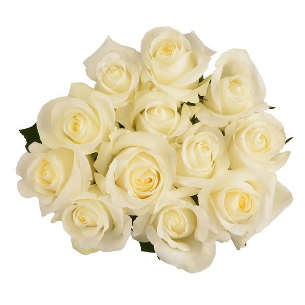 White Roses 12 ct