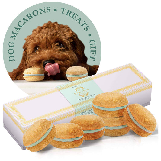 Bonne et Filou Vanilla Dog Macarons 6