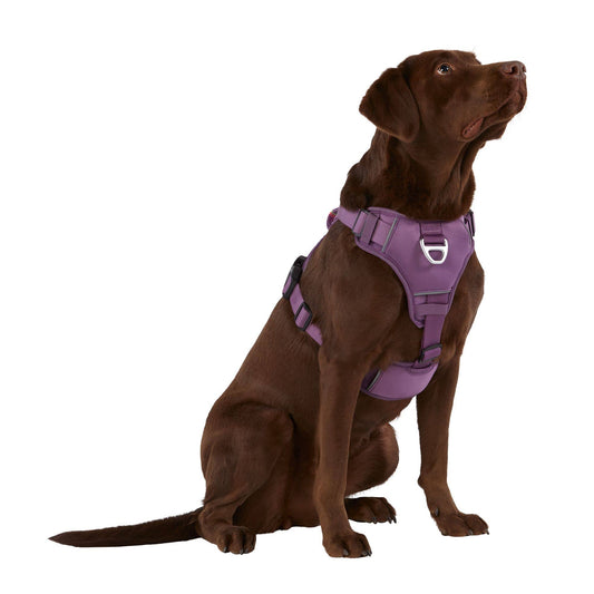 Arcadia Trail Reflective Neoprene Lined Dog Harness Medium Purple (1 ct)