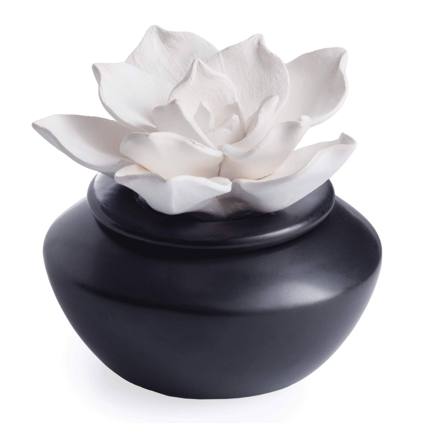 Airome Essential Oil Diffuser, Porcelain, Gardenia