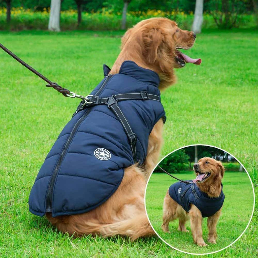 DogSki Waterproof Jacket with Harness, Waterproof Dog Winter Coat Blue / XS