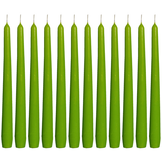 Bolsius Set of 30 Ivory Tapered Candles 10 inch