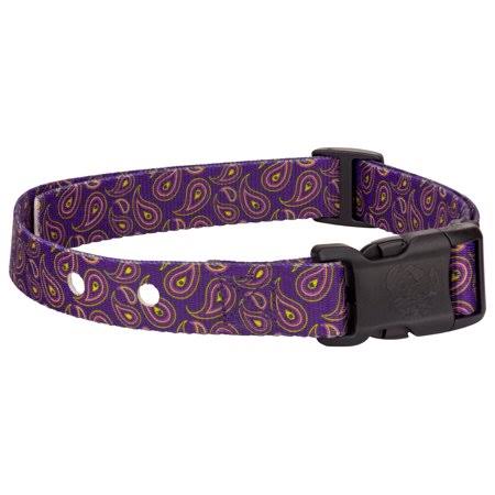 Country Brook Design Purple Paisley Replacement Collar for Dog Fence Receivers