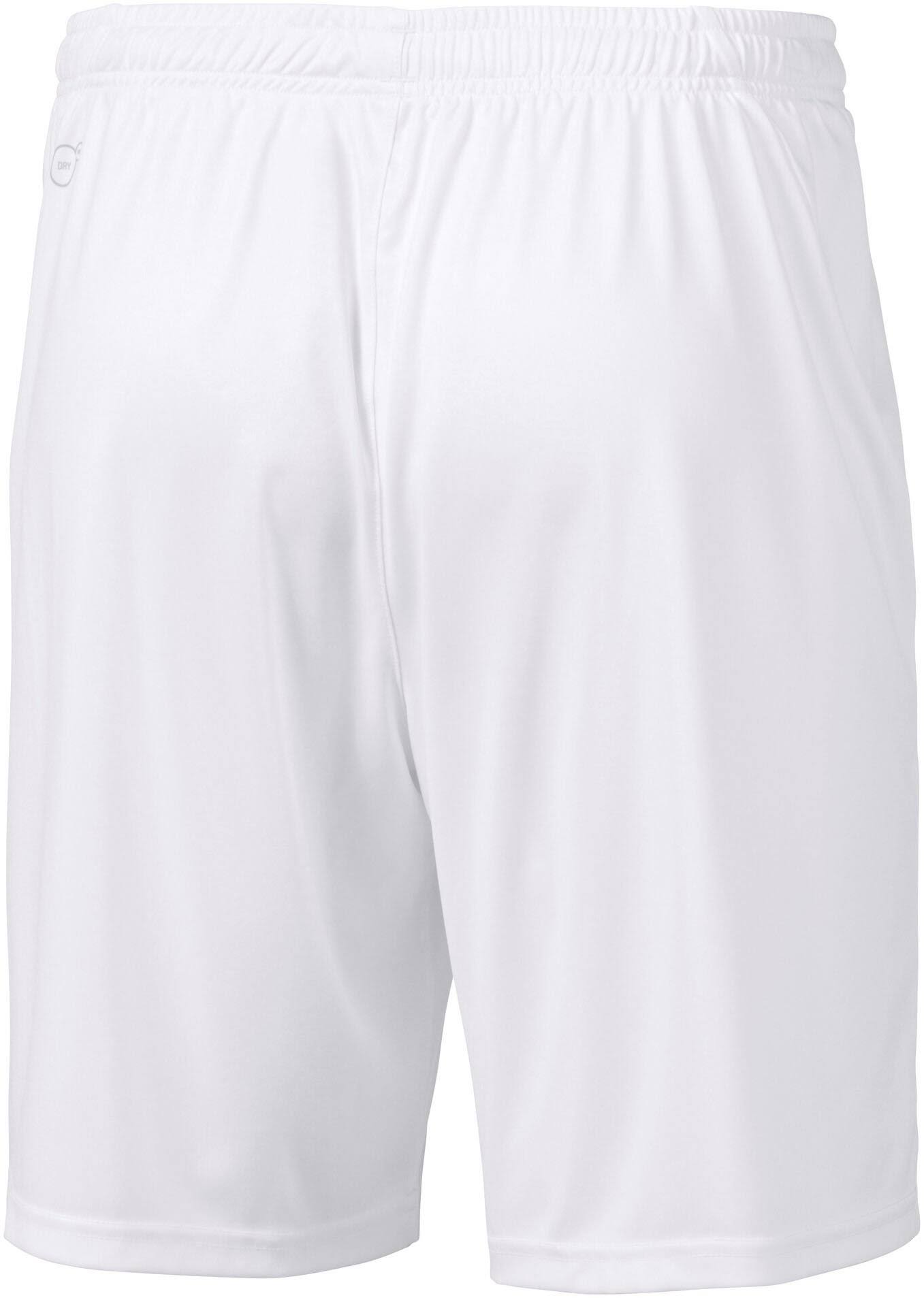 Puma Mens Liga Shorts Blue L