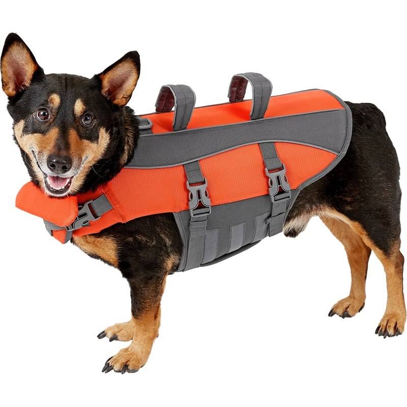 Frisco Dog Life Jacket, Medium