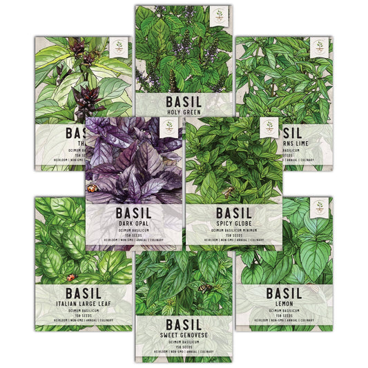 Basil Seed Packet Collection (8 Individual Seed Packets) Non-GMO Seeds by Seed Needs