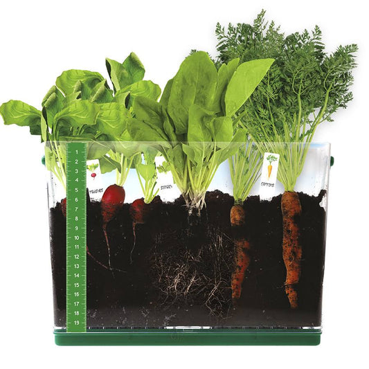 Fat Brain Toys Grow & See Vegetable Garden