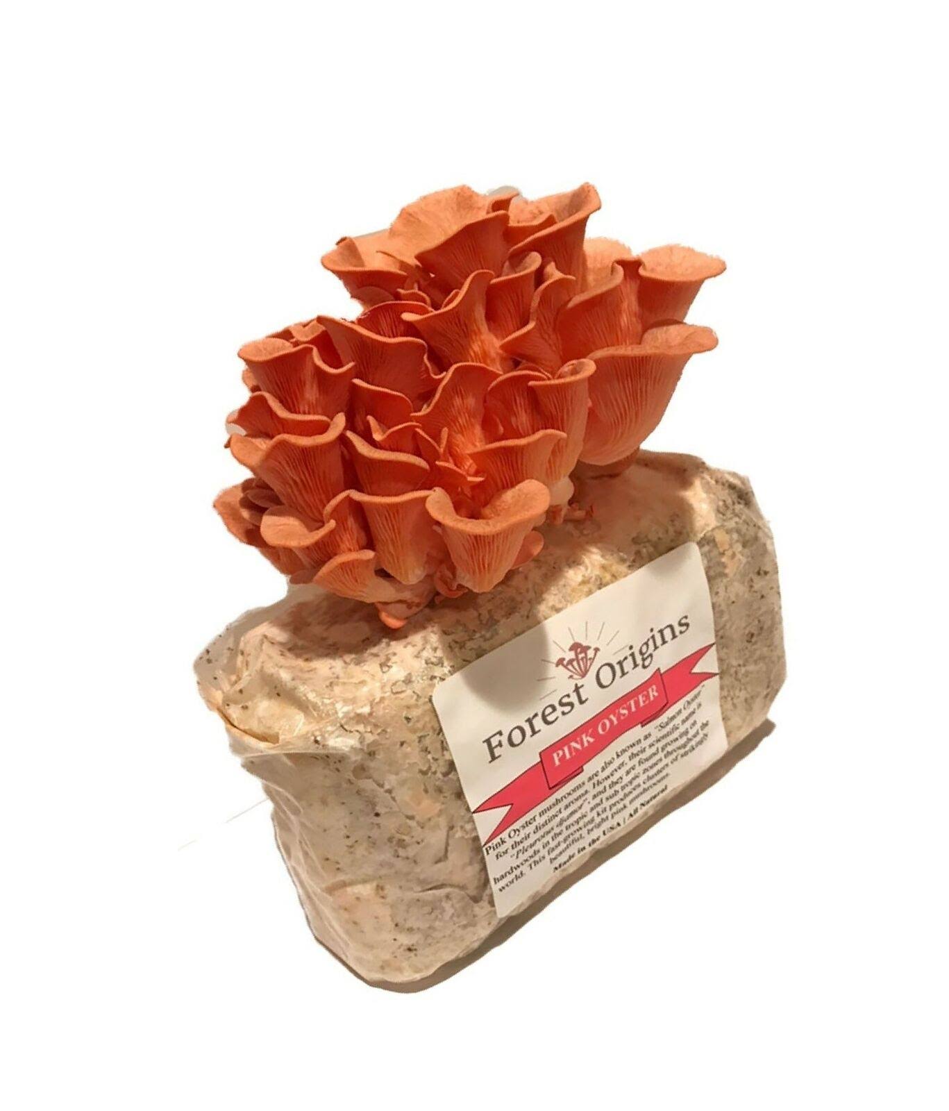 Pink Oyster Mushroom Farm - Beautiful Mushroom Growing Kit - All in