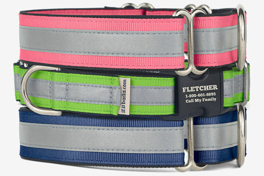 If It Barks Reflective Webbing Martingale Dog Collar