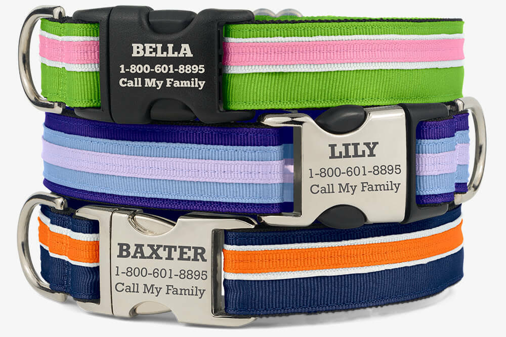 If It Barks Personalized Dog Collar With Metal Buckle Custom Dog Collars